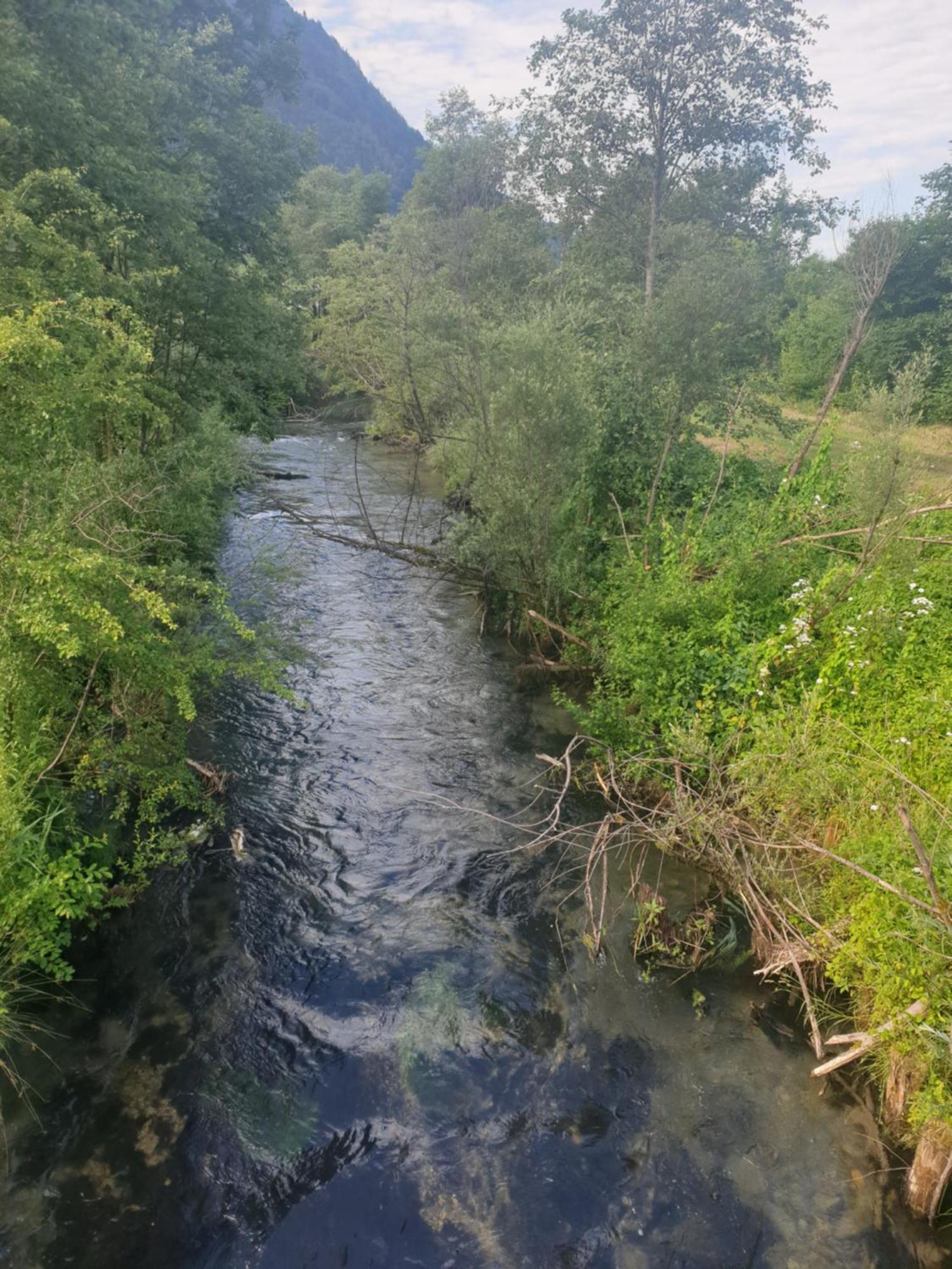 Appartementhaus Huettenberger Erpfendorf Buitenkant foto