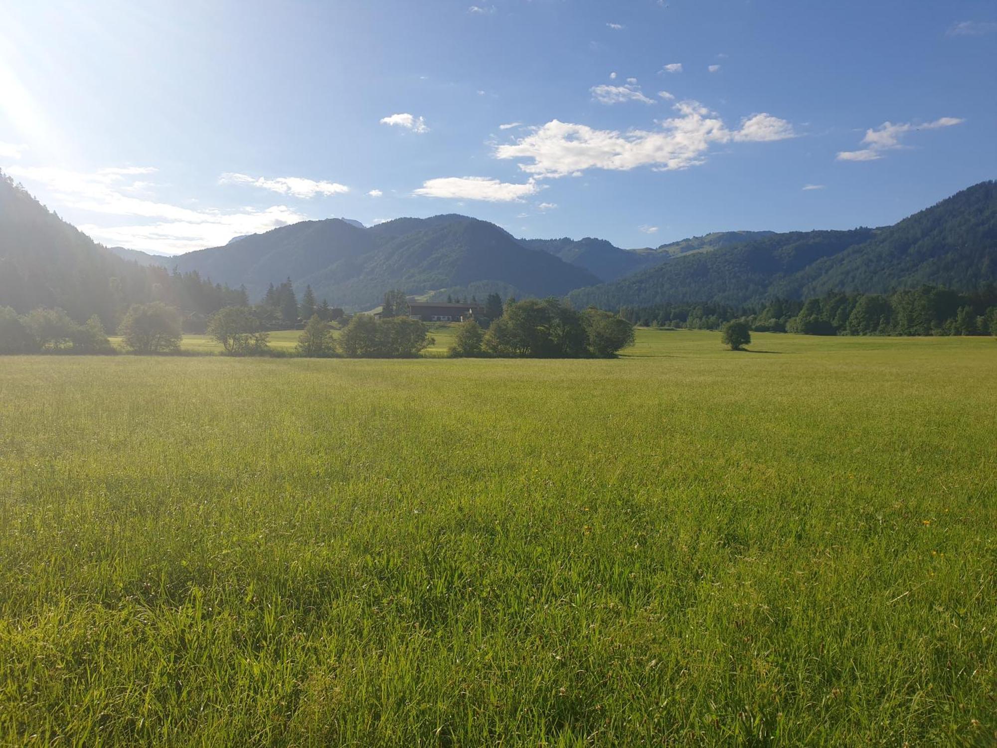 Appartementhaus Huettenberger Erpfendorf Buitenkant foto