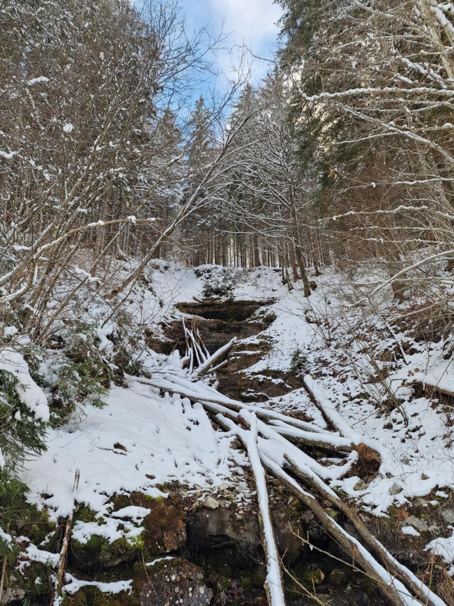 Appartementhaus Huettenberger Erpfendorf Buitenkant foto