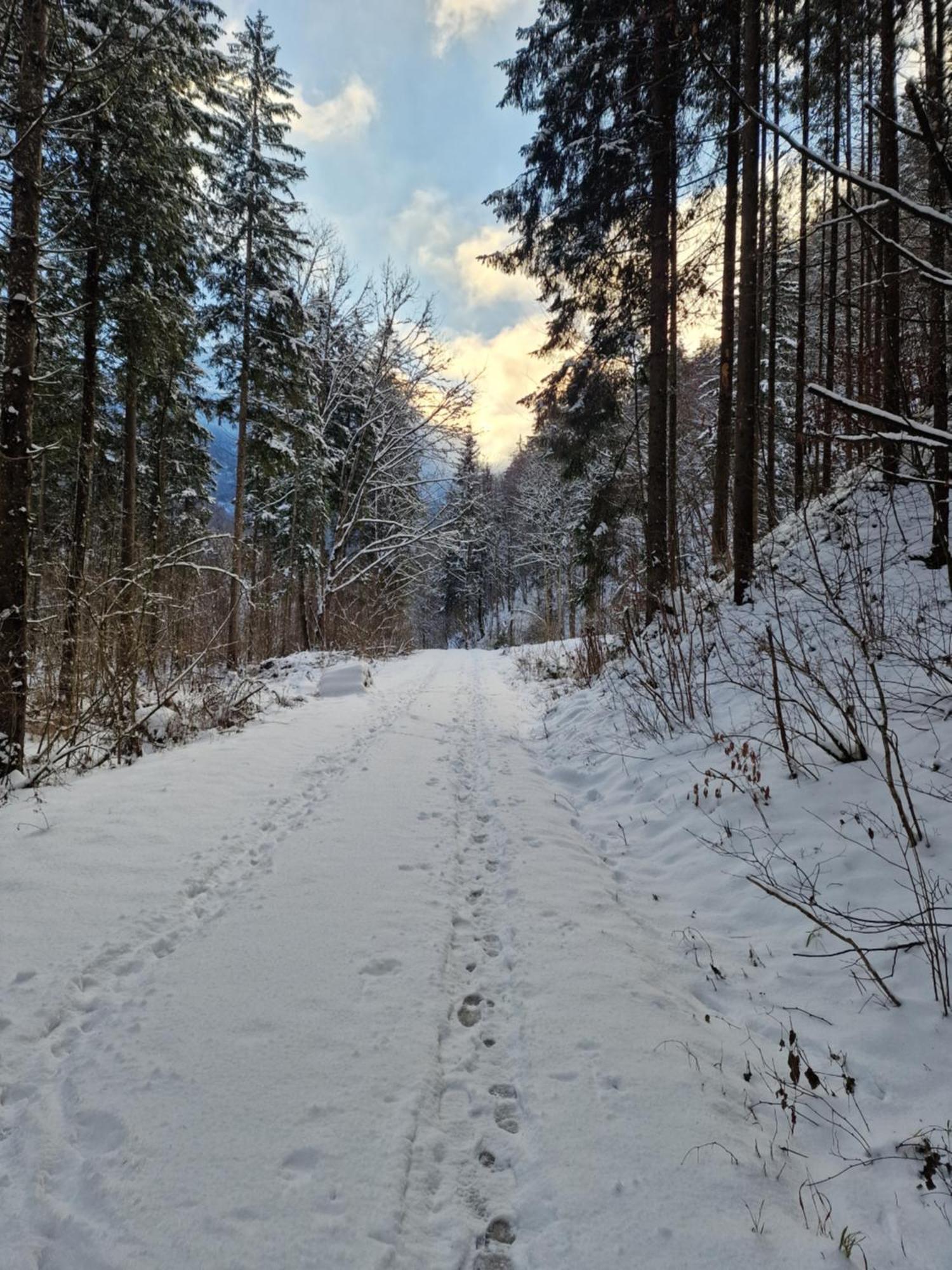 Appartementhaus Huettenberger Erpfendorf Buitenkant foto
